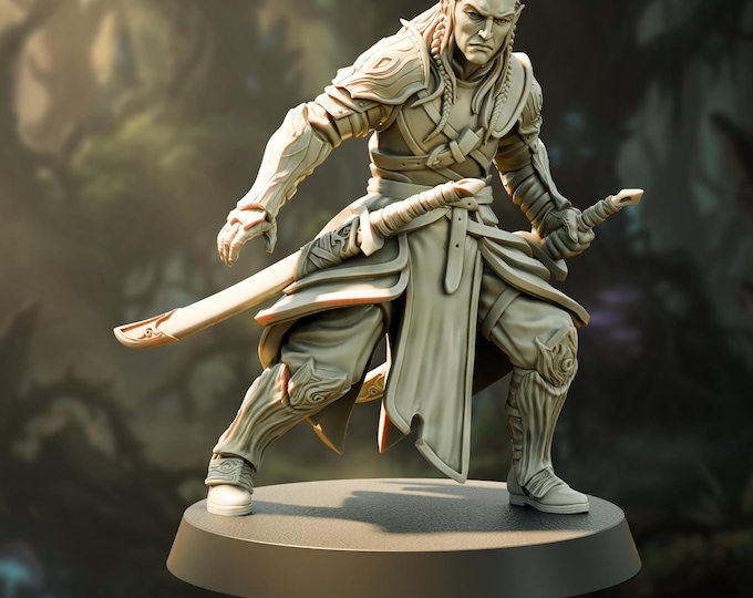 Raelius Elven Champion - 28/32mm - The Printing Goes Ever On - Dungeons and Dragons - Pathfinder - Fantasy