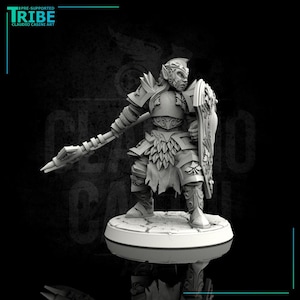 Paladin with big axe - Human, Tiefling OR Elf! - No base - 28mm or 32mm - Claudio Casini Art - Dungeons And Dragons - Pathfinder - 0070
