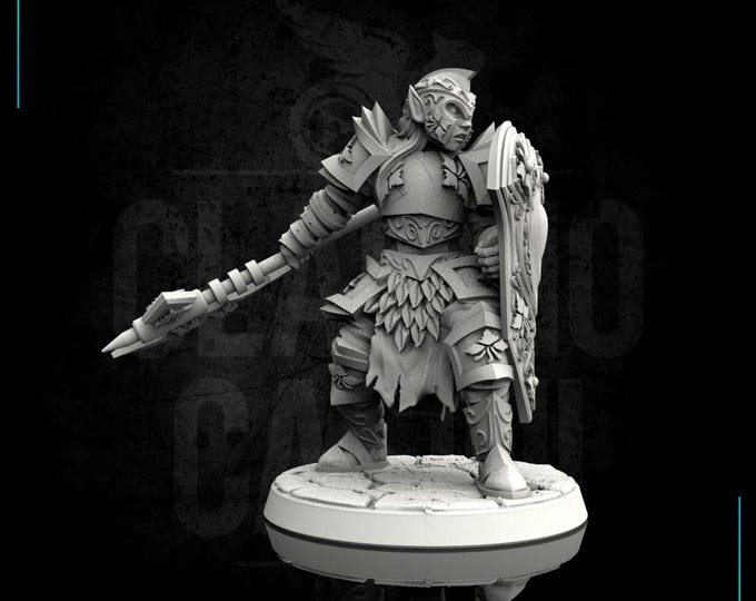 Paladin with big axe - Human, Tiefling OR Elf! - No base - 28mm or 32mm - Claudio Casini Art - Dungeons And Dragons - Pathfinder - 0070
