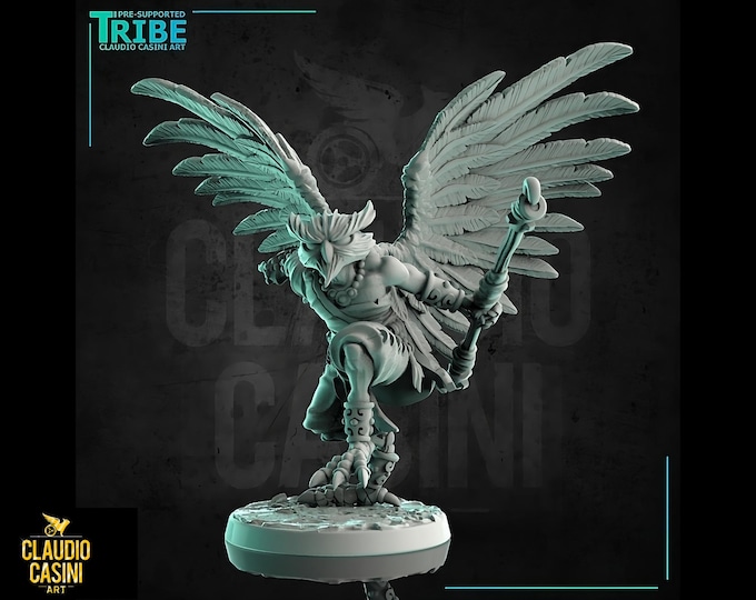 Owlfolk or Owlin Monk - 28mm or 32mm - Claudio Casini Art  - Dungeons and Dragons, Pathfinder! 0220