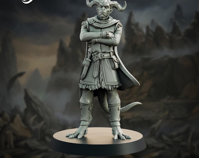 Half-Elf Dragonborn Adventurer (could be a tiefling) - 28/32mm - The Printing Goes Ever On - Dungeons and Dragons - Pathfinder - Fantasy