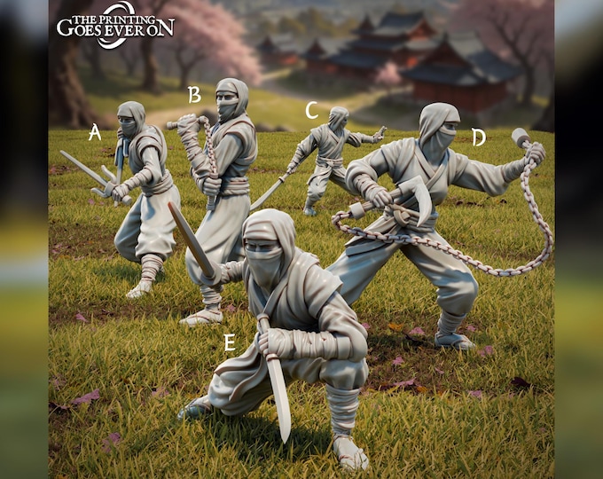 Ninja - 28mm - The Printing Goes Ever On - Dungeons and Dragons - Pathfinder - Fantasy - Tales Of The Jade Empire