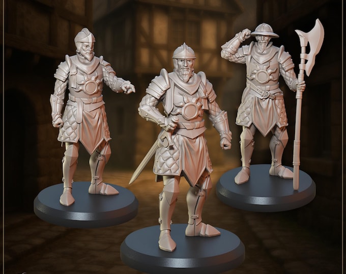 City Guards the Grimwardens - 28/32/35mm - Great Grimoire - Dungeons and Dragons - Pathfinder - Great Folks