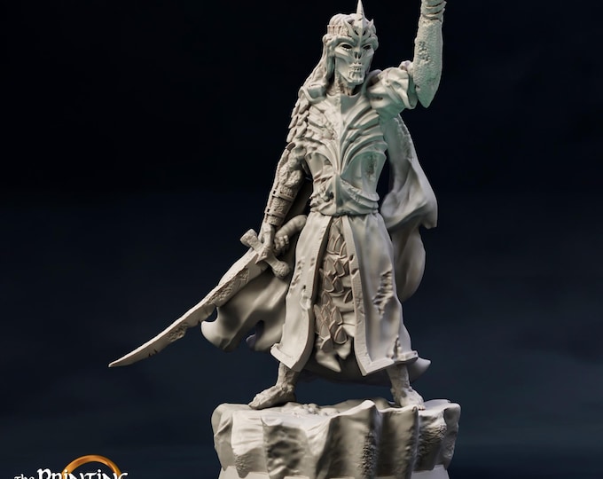 Wright Prince (like a Nazgûl but tall)  - 28mm/32mm - The Printing Goes Ever On -  Fantasy