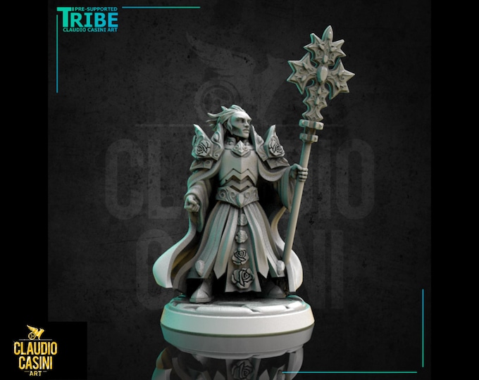 Human Cleric Paladin - 28mm or 32mm - Claudio Casini Art  - Dungeons and Dragons, Pathfinder! 0258