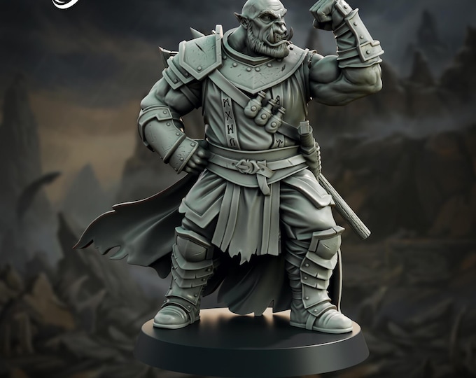 Orc Aberration Slayer - 28/32mm - The Printing Goes Ever On - Dungeons and Dragons - Pathfinder - Fantasy