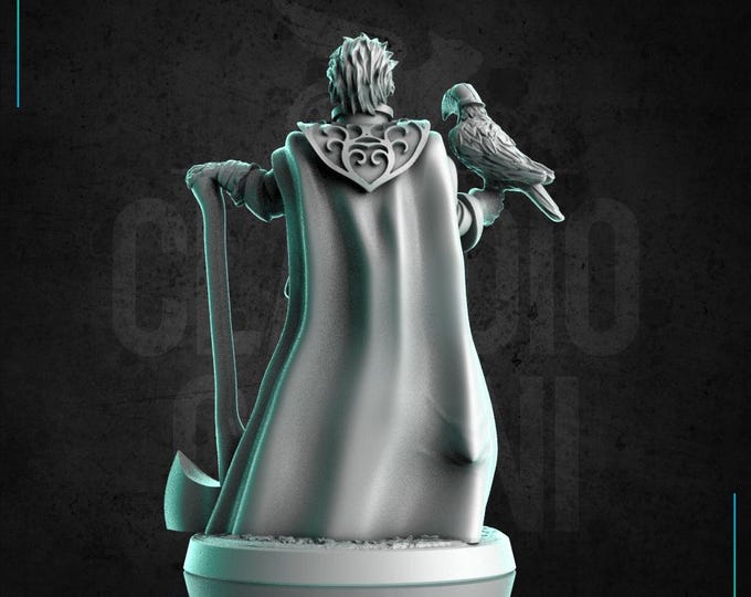 Male Ranger/Hunter with Hawk  -  Human, Tiefling, OR Elf! - 28mm or 32mm - Claudio Casini Art - Dungeons And Dragons - Pathfinder - 0305