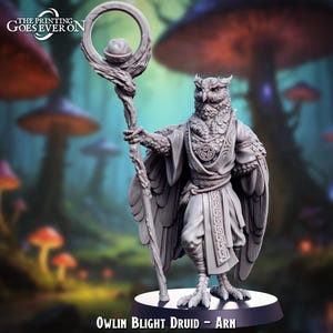 May include: A gray owl-like creature with a staff and a feathered cloak. The creature is standing on a round base with the text "Owlin Blight Druid - Arn".