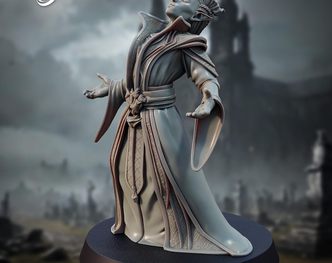 Tiefling Warlock Carrion - 28/32mm - The Printing Goes Ever On - Dungeons and Dragons - Pathfinder