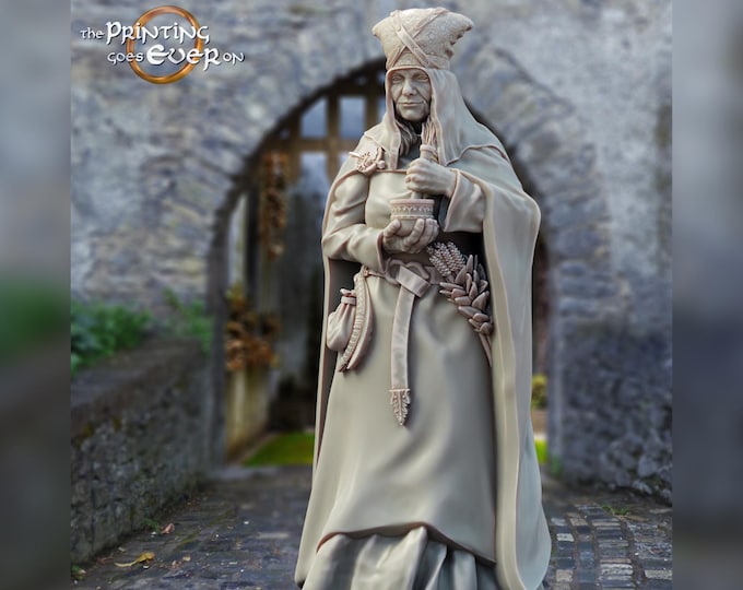 Healer Villager - 28mm - The Printing Goes Ever On - Dungeons and Dragons - Pathfinder - Fantasy