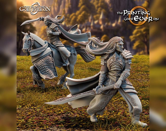 High Elf Lord Goloccel On Foot or Mounted - 28mm - The Printing Goes Ever On - Dungeons and Dragons - Pathfinder - Fantasy