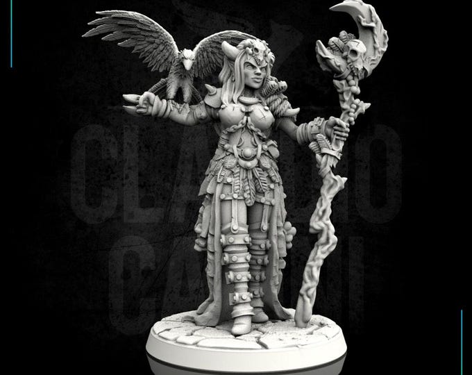 Elf sorceress with raven - 28mm or 32mm - Claudio Casini Art - Dungeons And Dragons - Pathfinder - 0028