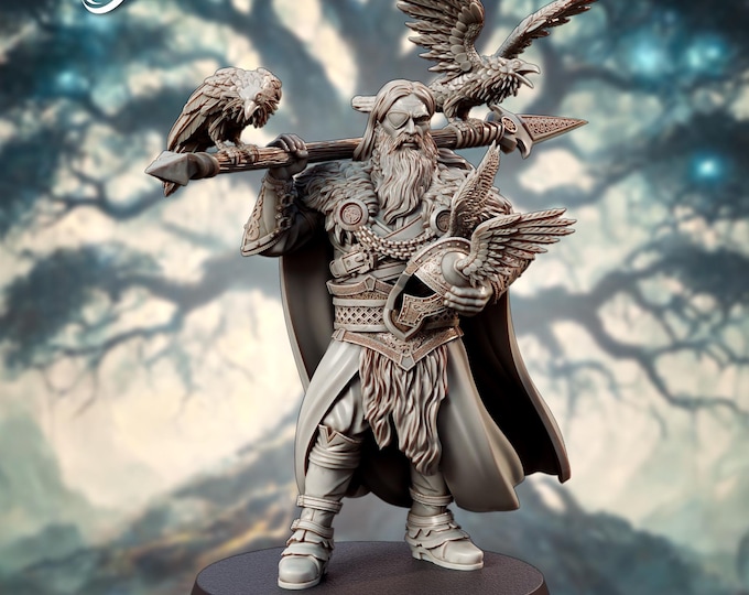 Odin the Norse Allfather - 28mm - The Printing Goes Ever On - Dungeons and Dragons - Pathfinder - Fantasy - fits 25mm base