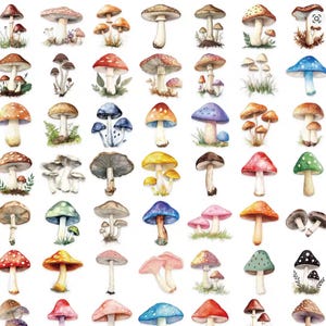 Mushroom Stickers- Aesthetic Mushroom Stickers | 10 random pcs mushroom Vinyl Decals for Journals, Laptops, Scrapbooks & Gifts
