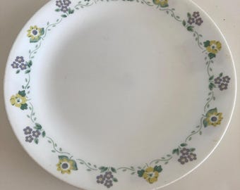 Corelle Forget Me Not Dinner Plates