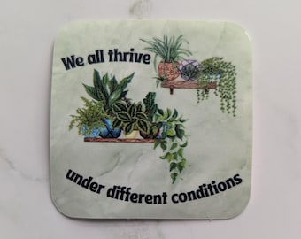 Op de afbeelding: Een vierkante onderzetter met een lichtgroene marmerachtige achtergrond met illustraties van diverse potplanten op houten planken. De tekst "We all thrive under different conditions" staat in donkerblauwe letters boven en onder de planten.