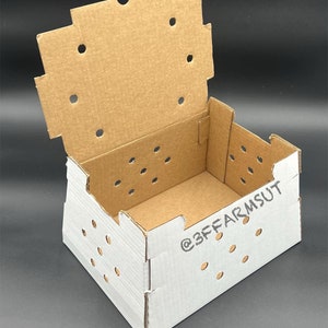Chick or Poultry Shipping Boxes (5 Count)