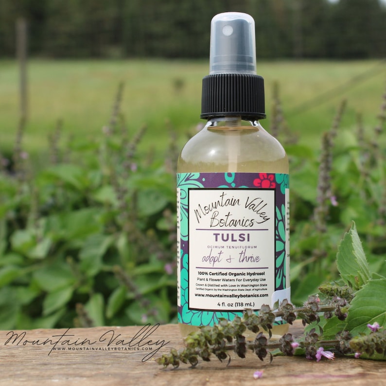 Organic Tulsi Holy Basil Hydrosol for All-Natural Skin Care & Everyday Aromatherapy image 1