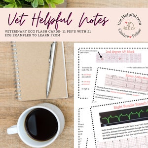 Vet reference ECG, vet tech pocket guide , ECG reference, EKG ,  flash cards