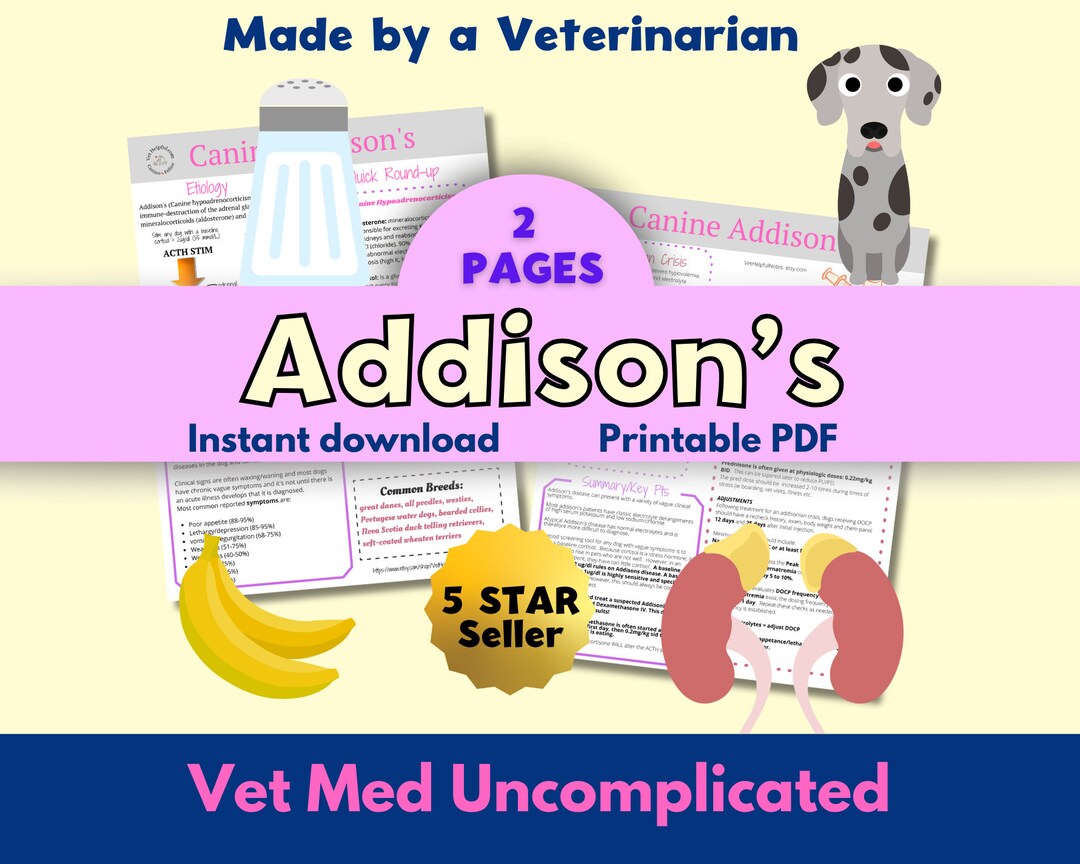 Canine Addison's Disease Guide Vet Tech, Vet Student, Veterinarian Etsy