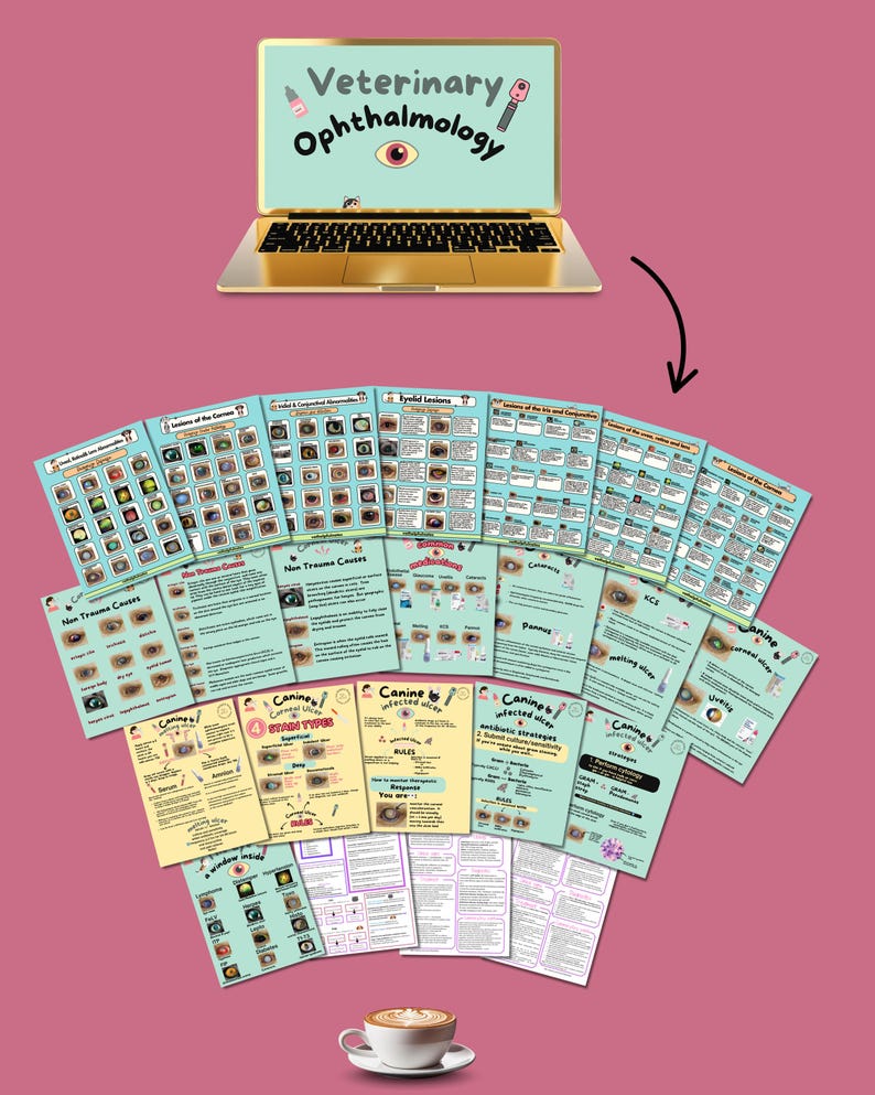 May include: A gold laptop displays "Veterinary Ophthalmology" with eye illustrations. Below, a collection of educational charts on canine eye conditions are arranged. A cup of coffee sits at the bottom on a pink background.