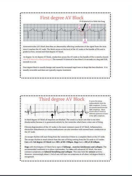 Vet Reference ECG, Vet Tech Pocket Guide , ECG Reference, EKG , Flash ...