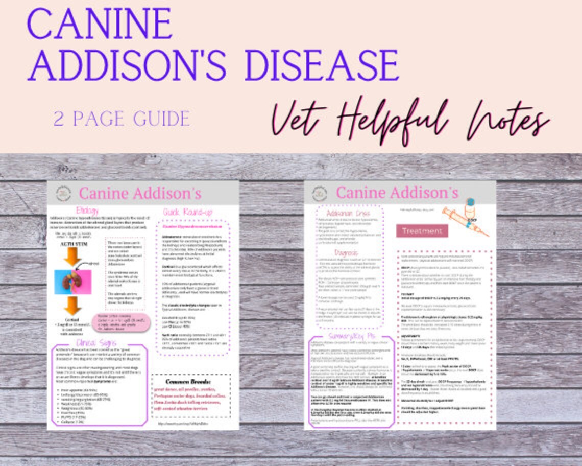 Canine Addison's Disease Guide Vet Tech Vet Student Etsy