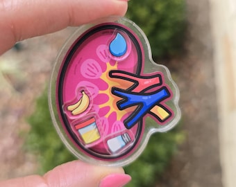kidney badge reel hemodialysis tech dialysis badge reel nephrologist kidney nephrology tech kidney nurse badge dialysis nurse gift doctor
