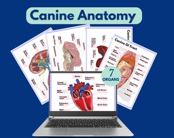 Veterinary anatomy study vettech canine anatomy book vet nurse anatomy study notes anatomy vet notes organ anatomy study guide veterinarian