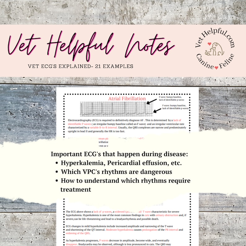 Vet reference ECG vet tech pocket guide ECG reference EKG - Etsy México