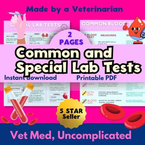 Algemene en speciale bloedonderzoeken bij honden/katten: dierenartsassistent, dierenartsassistent, student dierenarts