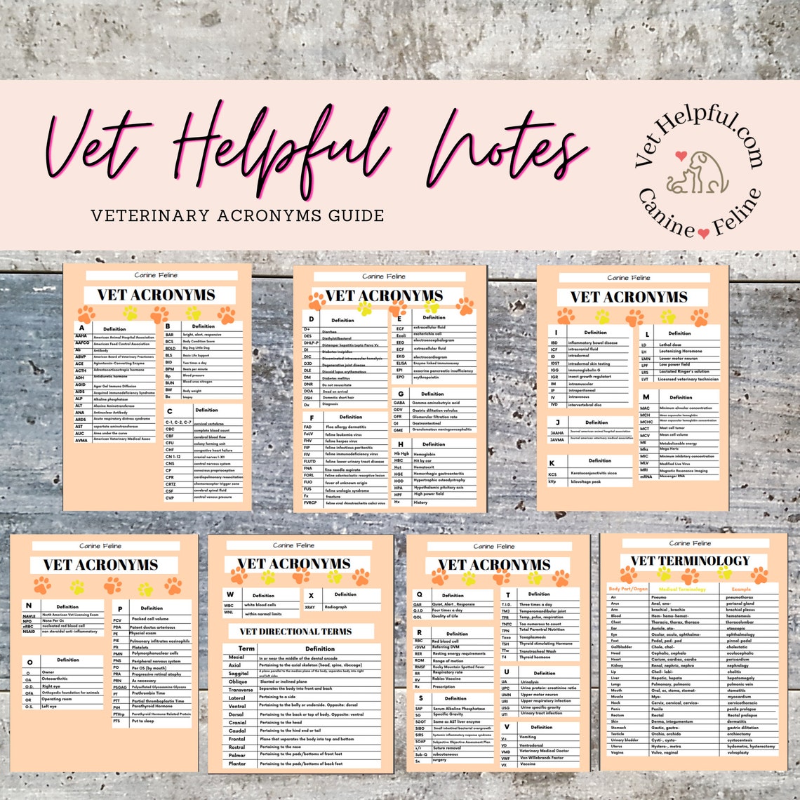 Veterinary Acronyms Guide Vet Terminology Etsy