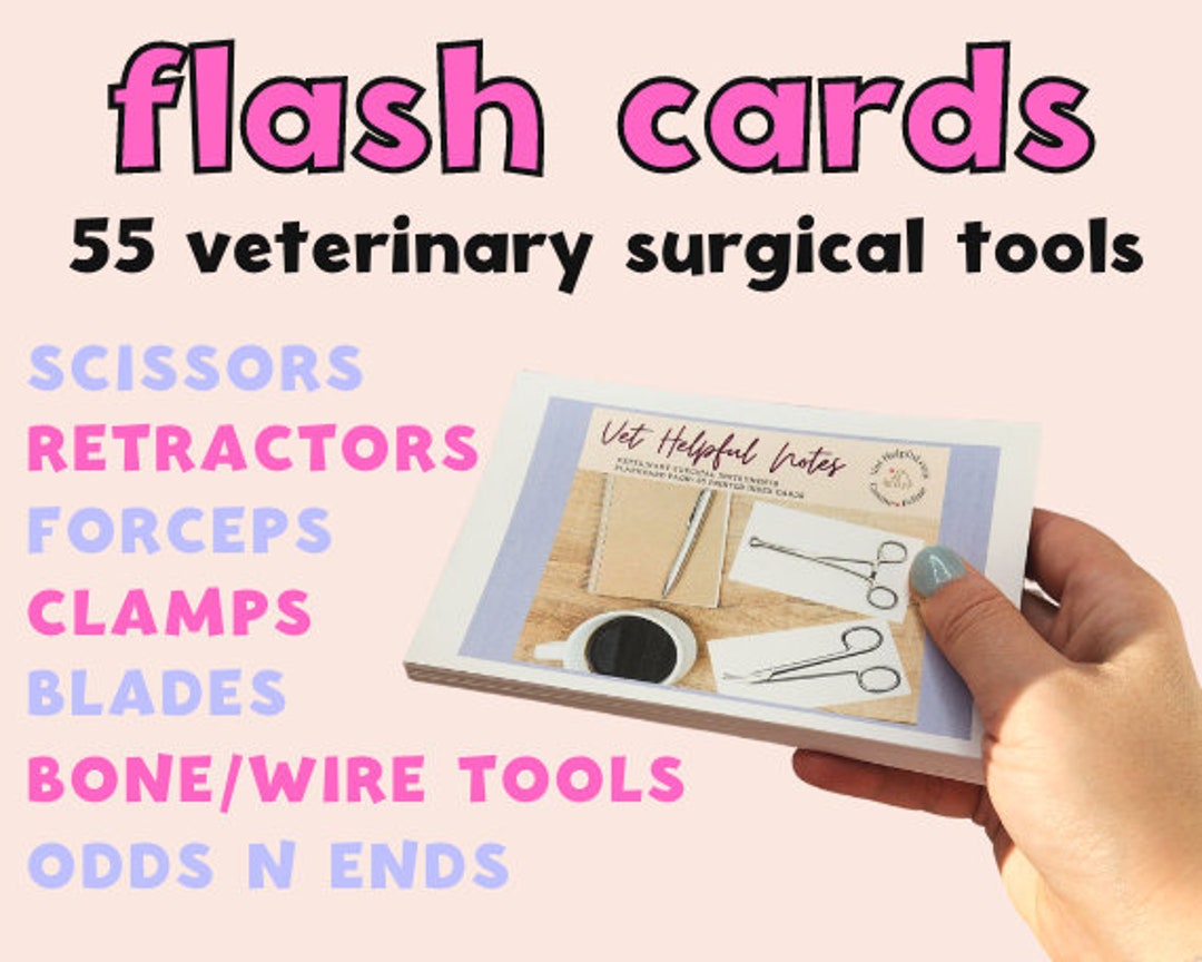 Vet Flash Cards Surgery Veterinary Flashcards Surgical Etsy