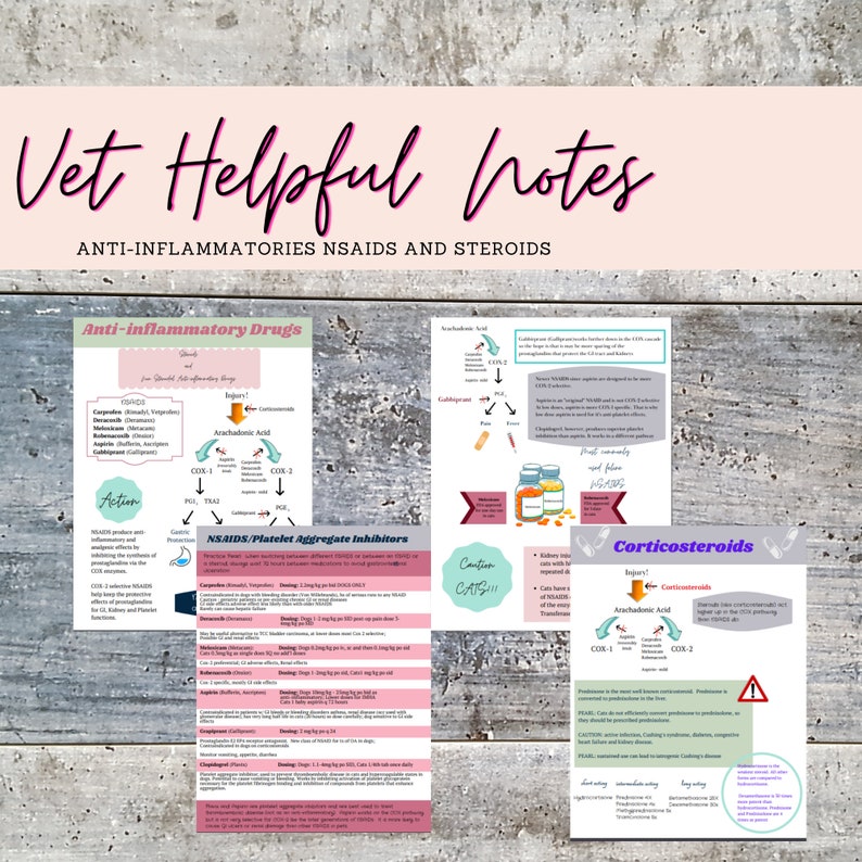 May include: A colorful chart with the title "Vet Helpful Notes" and information about anti-inflammatory drugs for pets. The chart includes a diagram of the arachidonic acid pathway and lists different types of NSAIDs and corticosteroids, along with their uses and cautions.