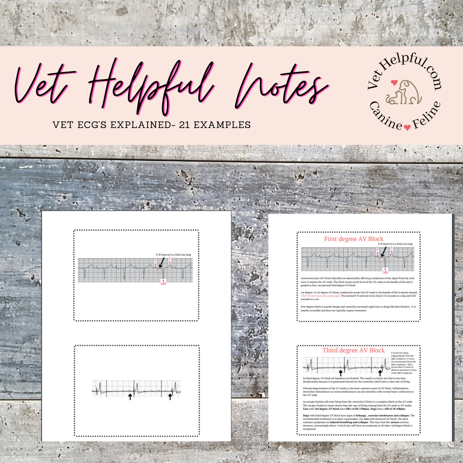 Vet reference ECG vet tech pocket guide ECG reference EKG - Etsy México