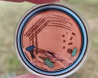 microbiology badge reel petri dish badge holder laboratory technician badge e.coli badge reel agar plate lab tech gift science gift STEM art
