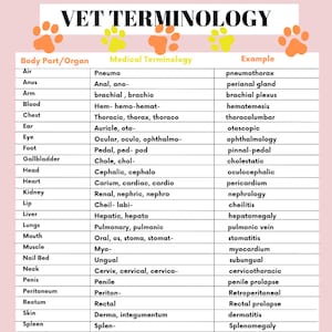 Vet Med Acronym Suffix Prefix Veterinary Cheat Sheet Vet Tech Notes ...