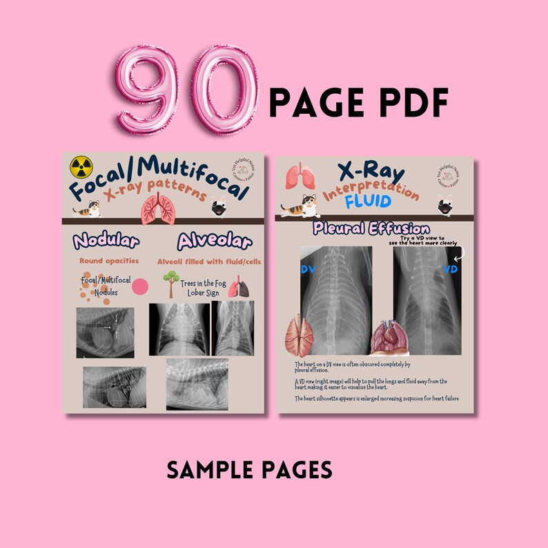Printable Radiology Notes.pdf Veterinary Radiology Notes Vet Student X-ray Guide Veterinary X-ray ...