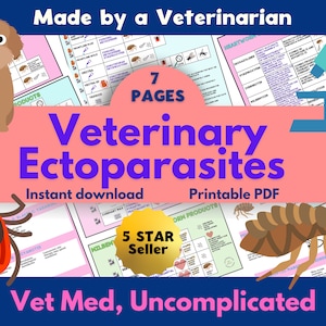 May include: A pink and blue graphic with the text "Veterinary Ectoparasites" and illustrations of a dog, a tick, and a flea. The graphic also includes the text "Made by a Veterinarian", "7 Pages", "Instant Download", "Printable PDF", and "5 Star Seller".