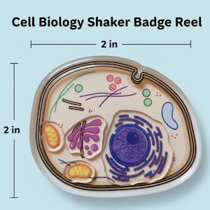 以下が含まれることがあります： 細胞生物学シェイカーバッジリール、約5cm x 5cm。バッジリールは、さまざまな色のオルガネラを備えた細胞の詳細な図を示しています。「Cell Biology Shaker Badge Reel」というテキストが上部にあります。