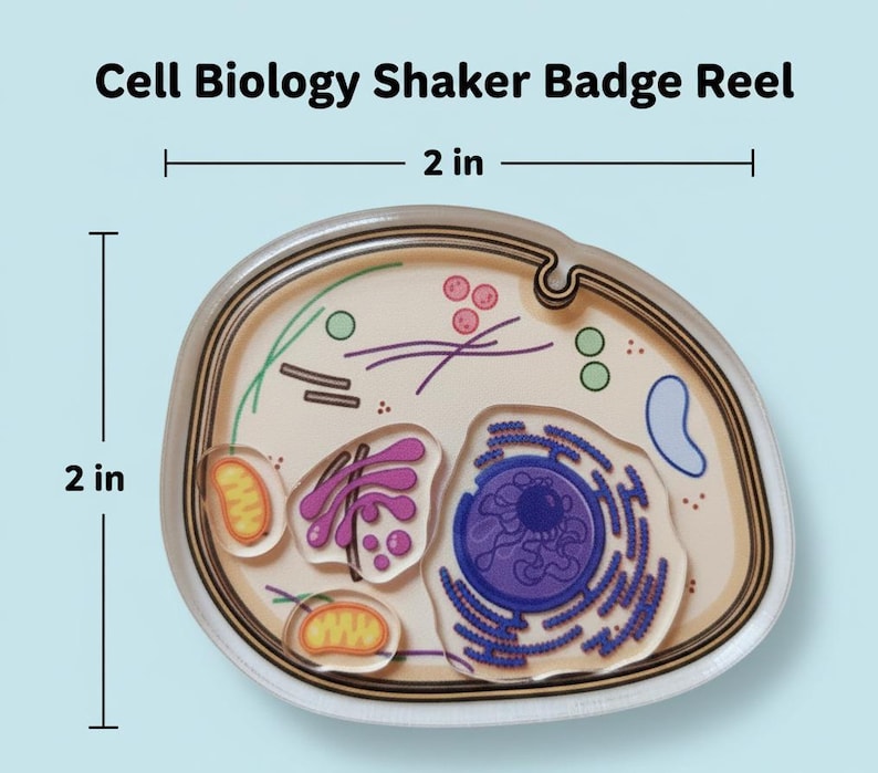 以下が含まれることがあります： 細胞生物学シェイカーバッジリール、約5cm x 5cm。バッジリールは、さまざまな色のオルガネラを備えた細胞の詳細な図を示しています。「Cell Biology Shaker Badge Reel」というテキストが上部にあります。
