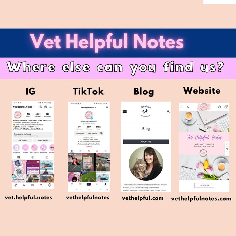 Veterinary sedation choices canine/feline, vet tech sedation drugs, vet nurse sedation drugs image 9