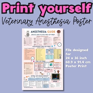 Póster de anestesia veterinaria imprimible, notas digitales de anestesia para técnicos veterinarios, hojas de referencia veterinarias, póster de anestesia para enfermeros veterinarios, PDF