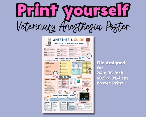 Printable Veterinary Anesthesia Poster  digital vet tech anesthesia notes veterinary cheat sheets poster vet nurse anesthesia PDF