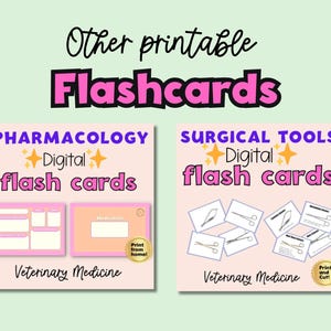 Veterinary Anatomy Flashcards Study Vet Tech Anatomy Flash Cards Canine ...