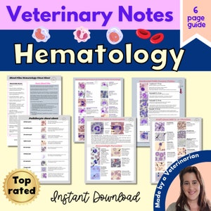 Hämatologie Veterinär Studienführer Vet Tech Blutausstrich Interpretation Hinweise