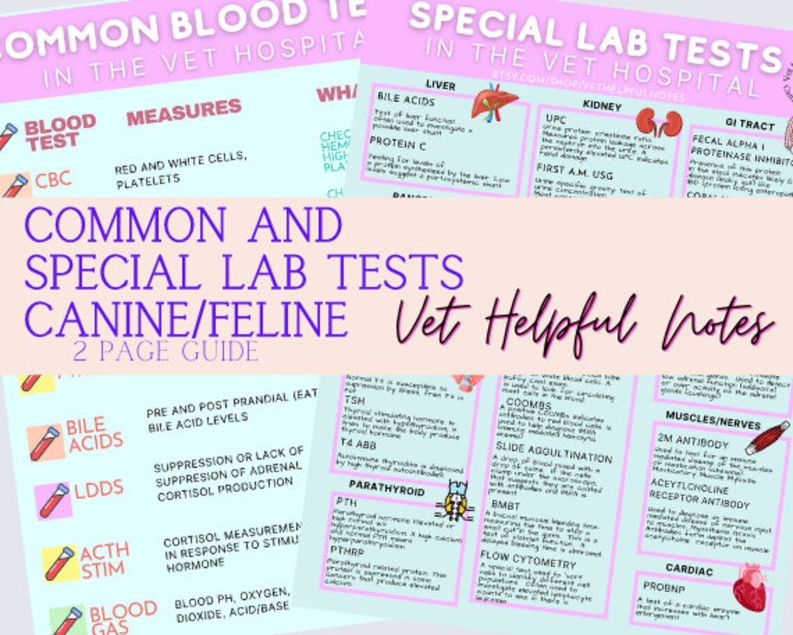 Common and Special Canine/feline Blood Tests Vet Tech Vet Etsy