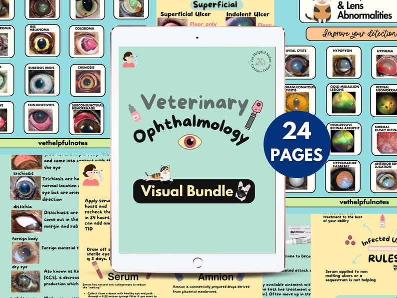 May include: A digital tablet displays a veterinary ophthalmology visual bundle with the text "Veterinary Ophthalmology" and "Visual Bundle." The image includes illustrations of eye conditions and a "24 PAGES" graphic.