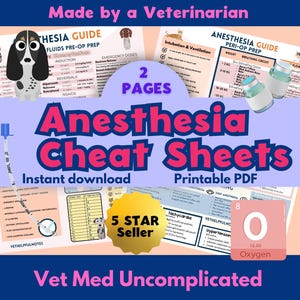 Anästhesie Spickzettel vet