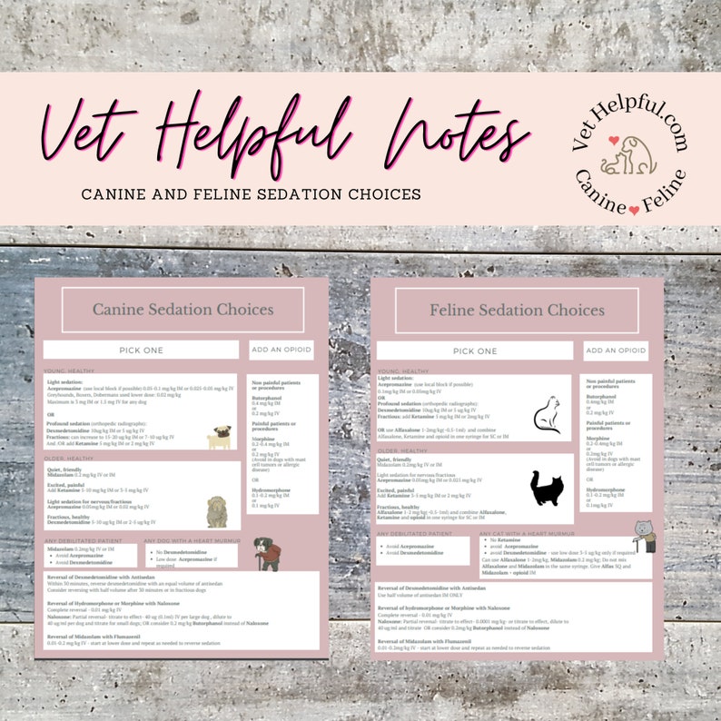 May include: A pink and white printable chart with the title "Vet Helpful Notes: Canine and Feline Sedation Choices". The chart lists different types of sedation for dogs and cats, including the drug name, dosage, and when to use it.